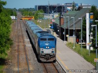 VIA 97 approaching St. Catharines station, is so overgrown here. 