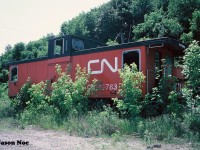 CN caboose 79783 sits amongst the ever-growing weeds and other brush at CN’s Stuart Street Yard in Hamilton, Ontario. This caboose and some other aging equipment had sat stored here behind the shop for many years. 