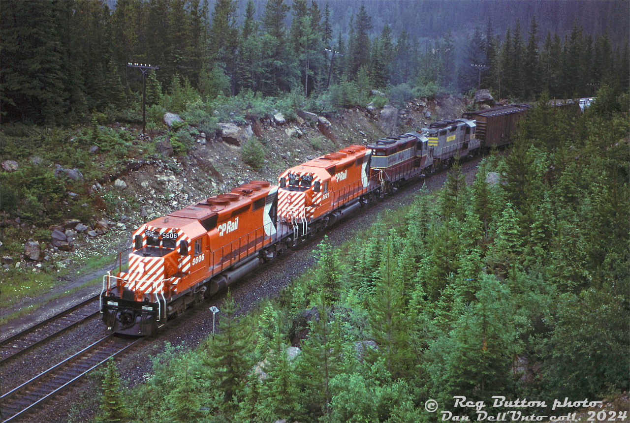 Nearly new CP Rail SD40-2 units 5606 and 5621, the rain accentuating their fresh red paint, grind upgrade between the two Spiral Tunnels at Yoho leading a freight. Trailing CP GP9 8680 and leased Precision National (PNC) GP7 127 are also working hard, evident by their visible exhaust. Reg appears to have stopped on the Trans-Canada Highway between the two tunnels to get this shot from the bridge.

At the time, CP was starting to get its first groups of the brand new 3000hp 6-axle GMD SD40-2 model. 5606 was outshipped from GMD's London, Ontario plant on May 31st 1972, and 5621 outshopped June 29th 1972 (making it only a few weeks old). The "Dash 2" model was an improvement over the earlier SD40 design, and a lot of the older 4-axle power still running around would soon be shown the door: the GP7 and GP9 fleets would remain, but the leased PNC power, Fairbanks Morse/CLC units, and most of the Alco/MLW 539- and 244-powered fleet would be phased out in the following years in favour of hundreds of new SD40-2 units that would dominate CP's mainlines through the Rocky Mountains until the arrival of new GE AC4400CW units in the mid-late 90's.

Reg Button photo, Dan Dell'Unto collection slide.