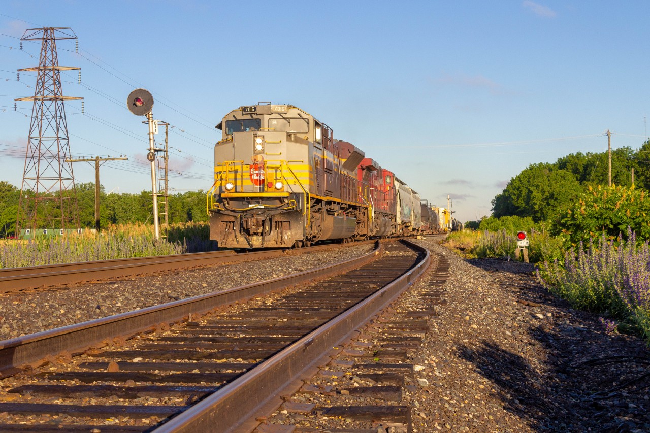 After rotting in Oakwood Jct on NS and in Windsor Ontario for about 15 hours, it finally departs and makes its way towards Tilbury in some perfect golden morning light.