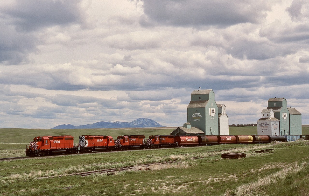 Just north of the USA border and interchange with BNSF at Sweetgrass, Montana, and with the tailend still in Montana, a northward train to Lethbridge has CP 5810 + 5801 + 5759 + 5813 (a planned-for-Locotrol consist if ever I saw one) for power as it gets underway at Coutts, Alberta, on Friday 1989-05-26 at 1401 MDT.

Lethbridge was originally in downtown, but was relocated 8 miles west (and beyond the viaduct across the Oldman River) to new Lethbridge formerly Coalhurst and Kipp.