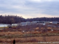 Another view of the NS/CN Intermodal Yard from the back side of the yard. 