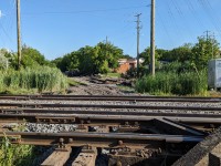 Going.....going...gone. The old Brampton diamonds is nothing but history. The former "mainline" and CNR connecting track covered in weeds and overgrowth. I found a trace of the connecting track however it is mostly ripped up. The signals are now dark. I will miss the banging sounds as the trains passed over the diamonds.