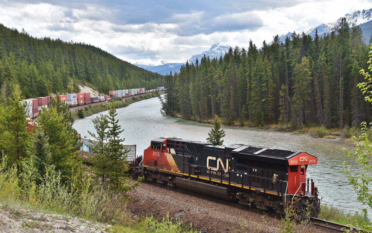 Springtime at Morant's Curve,


 CN 3113 is the tail end dpu on CP #112 with KCS 5011 & KCS 4738  leading with mid train dpu CP  9728  


CP Laggan Sub mile 113 at 14:13 MDT, June 10, 2024 digital by S.Danko


More


      another era  


sdfourty