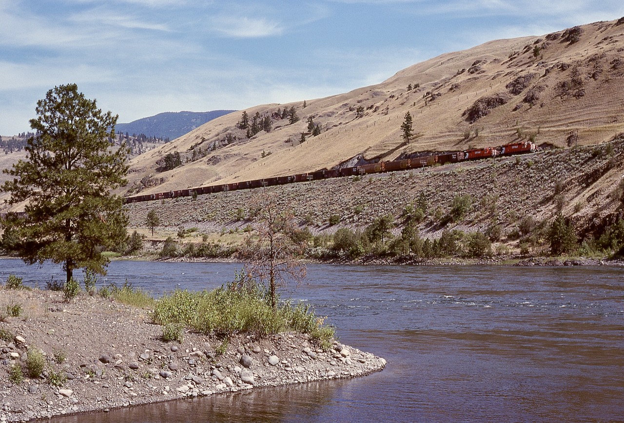 Westward from Kamloops, CP followed the south shore of Kamloops Lake then the south side of the Thompson River onward from Savona, climbing to a summit at Walhachin and with CN on the other side of the lake and river.  Here, with CN’s Deadman River bridge behind the photographer and that waterway emerging into the Thompson River west of Savona, a CP westward train of grain boxes is ascending behind CP 5832 and 5841 at mileage 28.8 on Monday 1979-07-16 at 1555 PDT, with three miles to go to reach Walhachin.