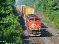 A CN eastbound container train with 8935 and 8010 has just passed through the town of Princeton, Ontario on the CN Dundas Subdivision and is approaching the recently upgraded Blenheim Road bridge. 