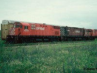 Three C-424’s are viewed after arriving with a westbound train at CP’s Quebec Street Yard in London, Ontario. They included; 4233, 4219 and 4250. 