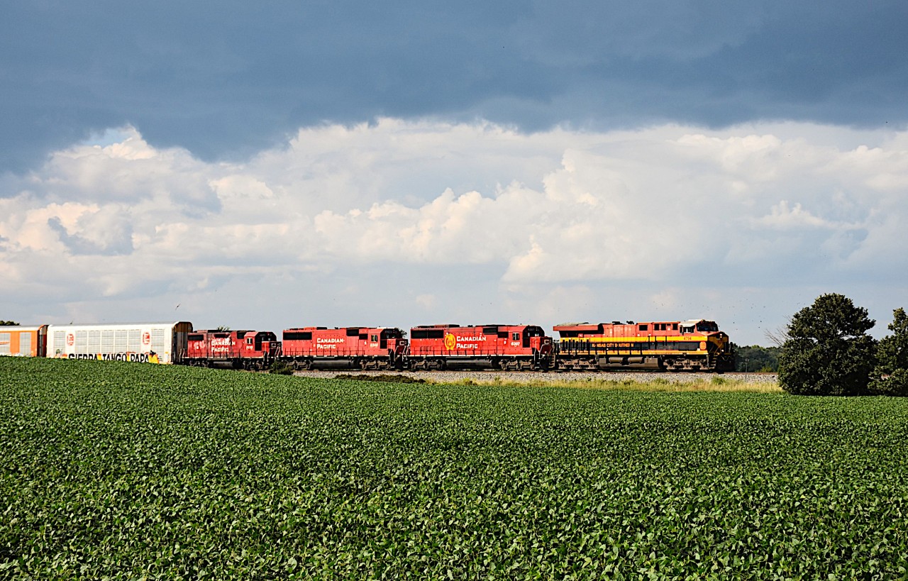 Escaped the local rain and escaped the clouds. And it has been a long time since I have seen a train thru here with 4 units up front. This day late CPKC #236 was powered by KCS 4794, CP 6307, 6248 and 3113. Apparently power issues the day before had the KCS added for this run to Welland. A tip of my old greasy hat to Bill Purdy, who kept me informed of its progress over the past two days.