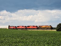 Escaped the local rain and escaped the clouds. And it has been a long time since I have seen a train thru here with 4 units up front. This day late CPKC #236 was powered by KCS 4794, CP 6307, 6248 and 3113. Apparently power issues the day before had the KCS added for this run to Welland. A tip of my old greasy hat to Bill Purdy, who kept me informed of its progress over the past two days.