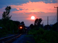 CN 536 has a BNSF leader as it prepares to cross the CSX/CN diamond at Cecile Jct.