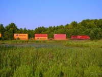 CPKC 100 nears the end of its journey at Vaughn Intermodal Terminal, curving through the swamp at Palgrave.  CPKC 112 is running about 10 minutes behind, and will take it slow for the next while as 100 passes VIT, making a reverse move into the yard.