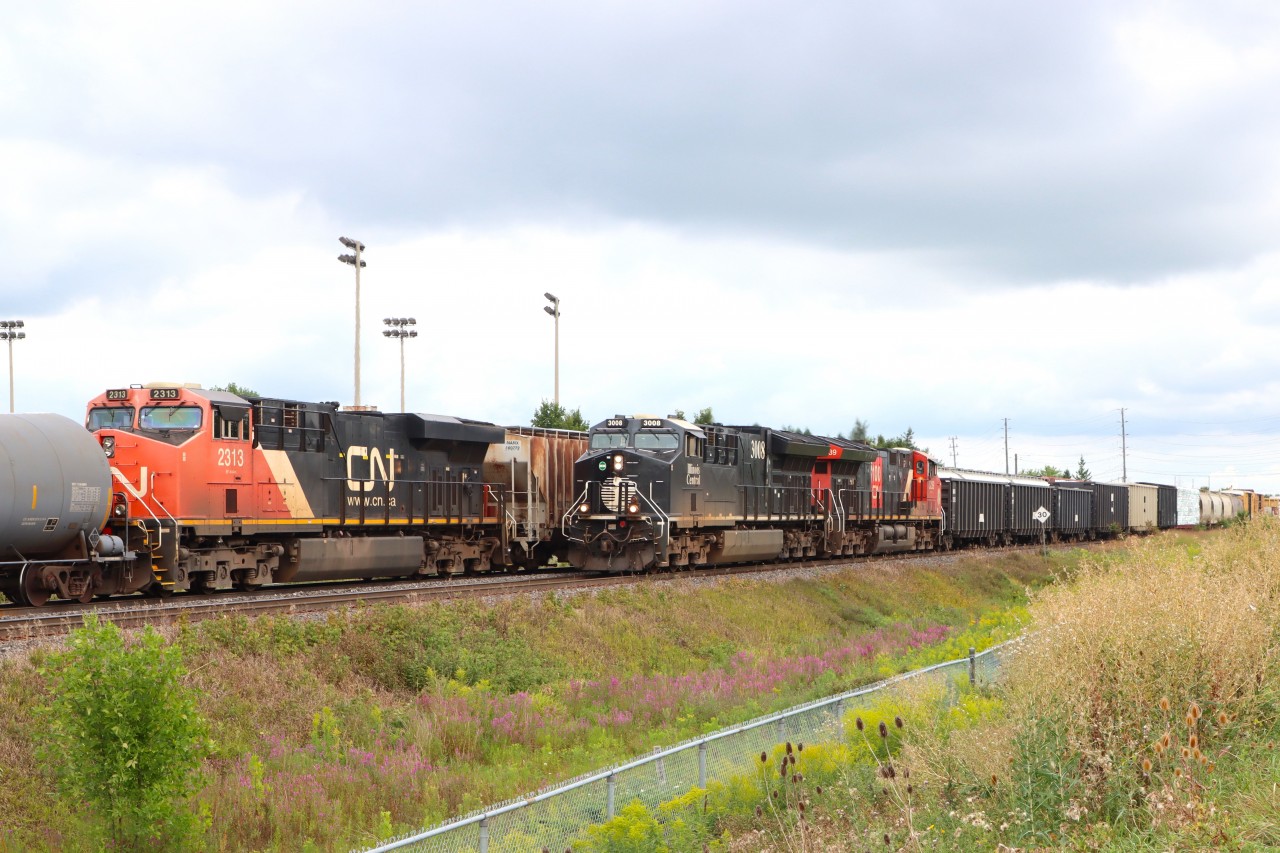 Eastbound (CN 3335 CN 2614) operating DP 2-1-0 is stopped on the North Track with the head-end at Tansley, DPU CN 2313 is opposite my location at Mile 44.8 as the westbound CN 3008 (IC Heritage) CN 3239 passes on the South Track.