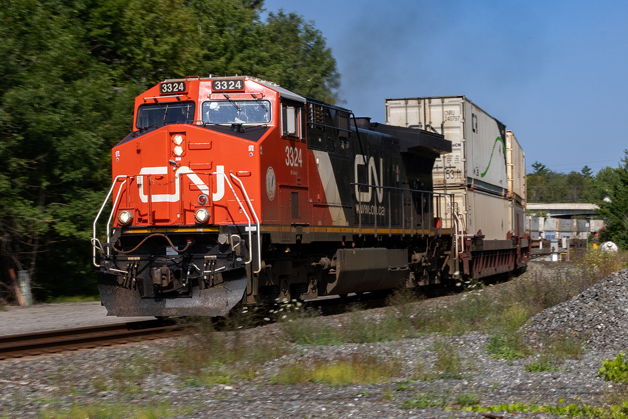 Another of the daily sea of CN's stackers headed east.