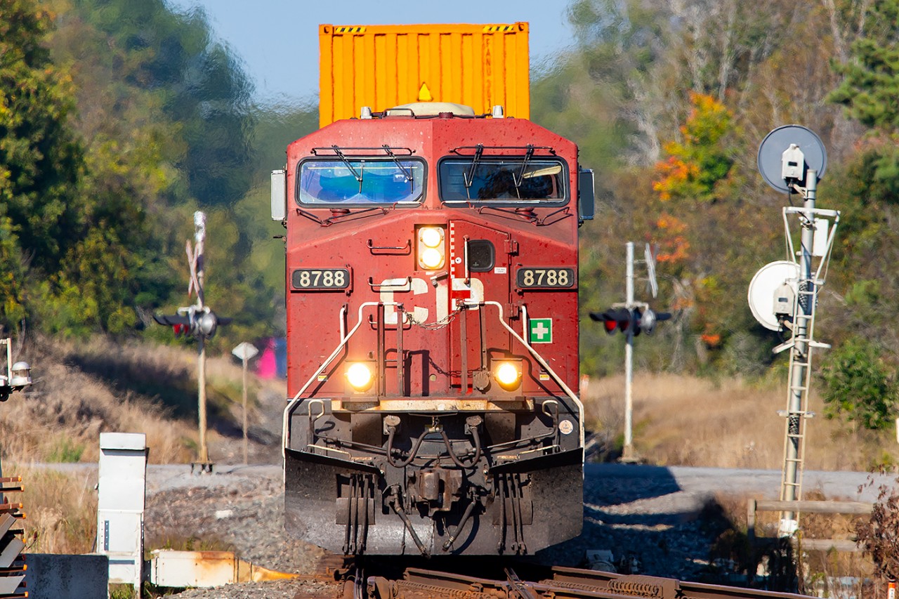 Autumn leaves are starting to appear as CPKC 114 hits the west end of Colborne.