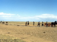 Hundreds of "navvies" labour over the prairies to lay Canada's new transcontinental railway, the Canadian Pacific, connecting eastern Canada to British Columbia. Using primative hand tools, horses and carts, and good old fashioned manual labour, they toil on to met Van Horne's goal of laying 500 miles of track across the prairies in the single season during the Summer of 1882 (spoiler: they only got 417 miles laid due to the weather).<br><br>This would have been the story in the 1880's, but this photo was actually taken in 1973 during the CBC's <a href=http://www.railpictures.ca/?attachment_id=55064><b>filming of Pierre Berton's "The National Dream"</b></a>, documenting the story of laying Canada's transcontinental railway from sea to sea. Difficult conditions in the mountains, hot prairies, and rocky northern Ontario "Canadian Shield" mixed with political and monitary difficulties made the construction a feat of its own.<br><br>According to a source on the matter, the track-laying filming scenes here were done on CP's Cassils Subdivision between Miles 9 and 9.5, on the curve approaching Kitsum, Alberta (unsure of exact geolocation on map).<br><br><i>Eric. W. Johnson photo, Dan Dell'Unto collection slide.</i>