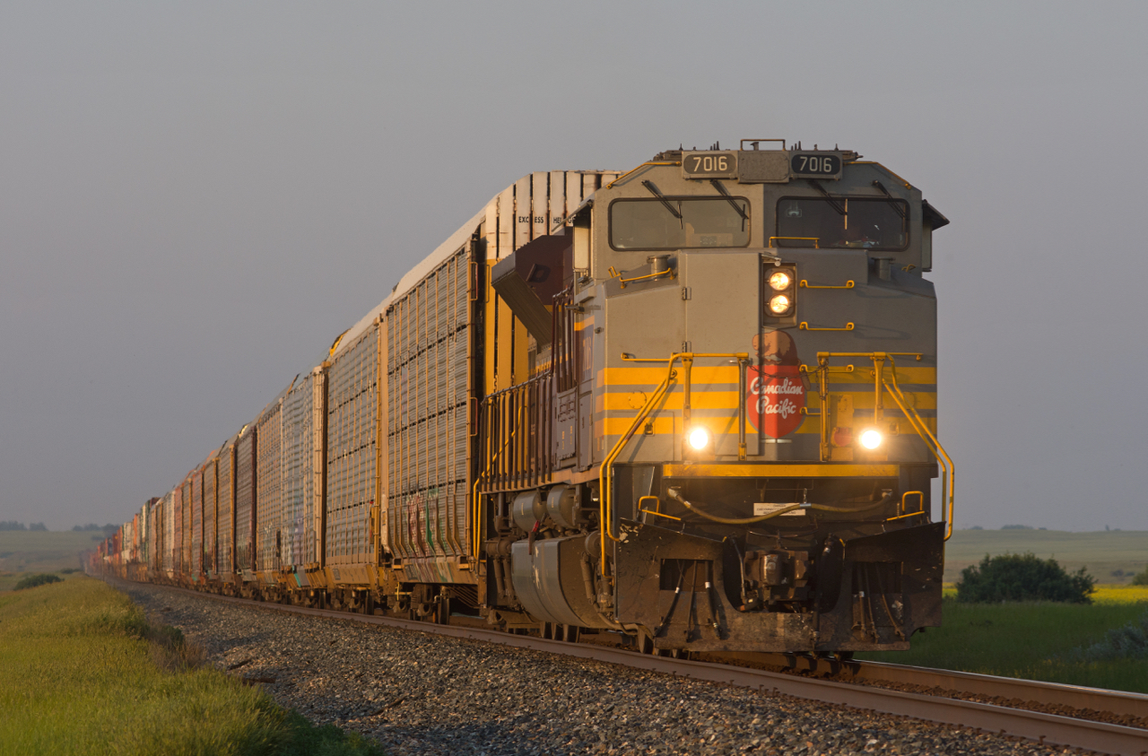 On my way home to Regina after a successful chase of 2816 from Moose Jaw to Dunmore, I stumbled upon this westbound leaving Swift Current. Needless to say that a little more chasing was in order. At 20:25 CP 7016 is seen on the approach to Antelope in some golden evening light.  With just over 300km still to cover to get home, needless to say the next morning at work came all to soon. I regret nothing!