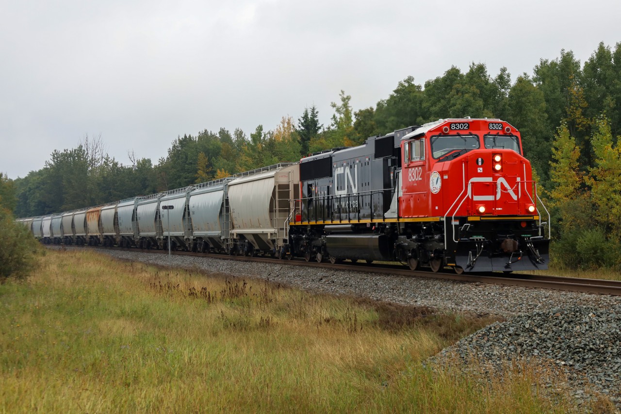 CN 8302 climbs the grade out of Lindbrook with S 76381 08 on a gloomy September afternoon.  This 102 car frac sand train from Hinton, Wisconsin to Grande Prairie, Alberta is being pulled by one of five SD75IACC rebuilds currently on CN property.