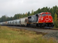 CN 8302 climbs the grade out of Lindbrook with S 76381 08 on a gloomy September afternoon.  This 102 car frac sand train from Hinton, Wisconsin to Grande Prairie, Alberta is being pulled by one of five SD75IACC rebuilds currently on CN property.  