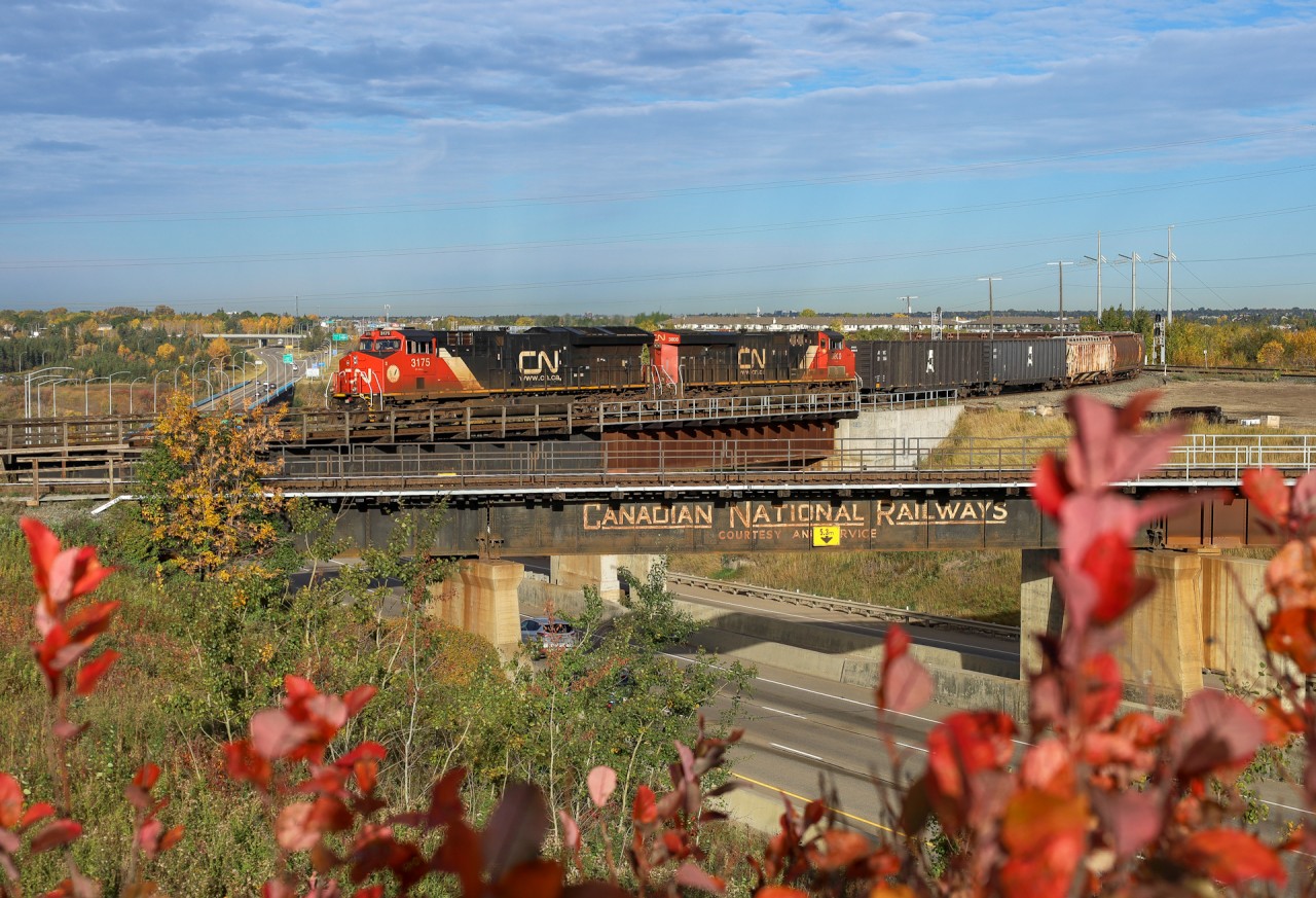 Fall colours are almost at their peak in Edmonton, as A 44251 28 swings off the Wainwright Sub and onto the Camrose Sub enroute to Calgary.