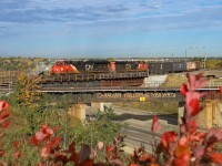 Fall colours are almost at their peak in Edmonton, as A 44251 28 swings off the Wainwright Sub and onto the Camrose Sub enroute to Calgary. 