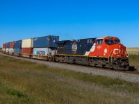 CN Q 18051 27 highballs through Greenshields after a quick crew change in Wainwright and a meet with Q 18521 27 on the double track.  CN 3331  is one of two units featuring logos from CN’s past;  The round Canadian National logo is a modification of the Canadian Northern (CNoR) logo and was utilized for a few years after CN’s inception in 1919.  Both retro logo units CN 3309 and CN 3331, typically operate in the Chicago to New Orleans corridor, staying close to Homewood for executive train service and on rare occasion escape that corridor in freight service.  And yes, the “CNoR heritage” unit is flying down the old Grand Trunk Pacific mainline - home rails for the Canadian Northern are about 45 minutes north of this location on the Blackfoot and Vegreville Subs!  