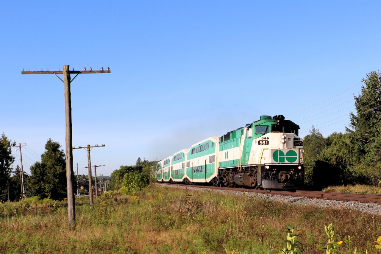 After picking up my grandson for another days adventures, we decided to get the 9am GO train headed from Guelph  to Union Station. It was a beautiful bright sunny morning as one of the few remaining F59PH's, GO 561 flew by us on the approach to Watson Road. He was a little disappointed it wasn't his favorite GO 564 that we shot the year before but I was Ok with either.  My grandson loves the F59's and the plan is to hopefully ride on a GO train next summer with one leading, if they are still out there.