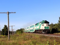 After picking up my grandson for another days adventures, we decided to get the 9am GO train headed from Guelph  to Union Station. It was a beautiful bright sunny morning as one of the few remaining F59PH's, GO 561 flew by us on the approach to Watson Road. He was a little disappointed it wasn't his favorite GO 564 that we shot the year before but I was Ok with either.  My grandson loves the F59's and the plan is to hopefully ride on a GO train next summer with one leading, if they are still out there.