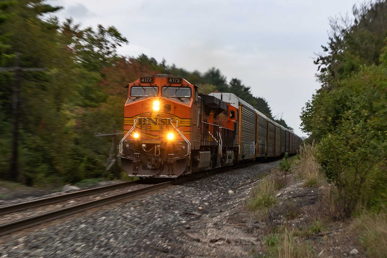 It's a grey dreary day in Southern Ontario. The maples that turn red are at the very beginning of creating a fall spectacle. CP decided to help out by tossing in a little orange.