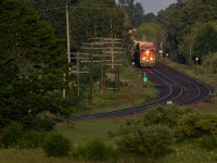 On the way to the Trenton Airshow, I overtook the eastbound at Oshawa. It seemed worthwhile to explore territory I'd never been in to see what might be possible. I've seen many variations of this shot over the years. Like everything, it's a pity it's becoming so overgrown.