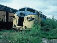 On September 9, 1991, while travelling southbound at 45mph, Ontario Northland Railway (ONR) train 122 “The Northlander” was unintentionally diverted off the mainline through an open switch at Mile 225.8 of the Newmarket Subdivision in North Bay. The train had just been turned over to CN control for its journey to Toronto. Now lined on a siding, the train collided with CN SW1200RSu 7304 that was on a yard assignment. The switcher was sitting 257 feet from the main track, situated on a wye, waiting for the passenger train to clear. The resulting collision caused injuries to 60 passengers and 11 railway employees with 67 being minor and 4 serious. Many of the passengers were injured when falling luggage from overhead baggage compartments became projectiles. ONR FP7A 1517, which was leading 122, was heavily damaged and its cab was entirely separated from its body, which had overturned. Trailing unit FP7Am 1985, was being used as an electric generator had also derailed and suffered damage as well. Both ONR units were retired following the collision while CN 7304 would go on to be repaired after suffering significant damage to its cab. Ironically, it is still operating today at the Steel Centre in Parkdale Yard in Hamilton.
<br>
Almost three years after the collision, FP7Am 1985 is pictured languishing in the tall weeds seemingly forgotten at ONR’s deadline situated in the North Bay Yard with its wreck damage evident. According to the Trackside Guide the unit was retired in 1993 and was eventually scrapped in 2000. 
