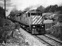 Four burly MLW C424's lead by CP 4239 head southbound on the Nephton Sub bound for Havelock, coming down from the Unimin mines at Nephton and Blue Mountain with covered hoppers full of nepheline syenite. The four units are coming through the rock cut at Mile 10 by County Road 44, one of the few crossings along the line.
<br><br>
This was about the spot where a scene in the movie <a href=https://www.youtube.com/watch?v=BQ015GoR41k><b>"Martin's Day" (1985)</b></a> was filmed, where the main characters hijacked a train for fun at the crossing, lead by a CP C424. 
<br><br>
<i>Bill Grandin photo, Dan Dell'Unto collection negative.</i>