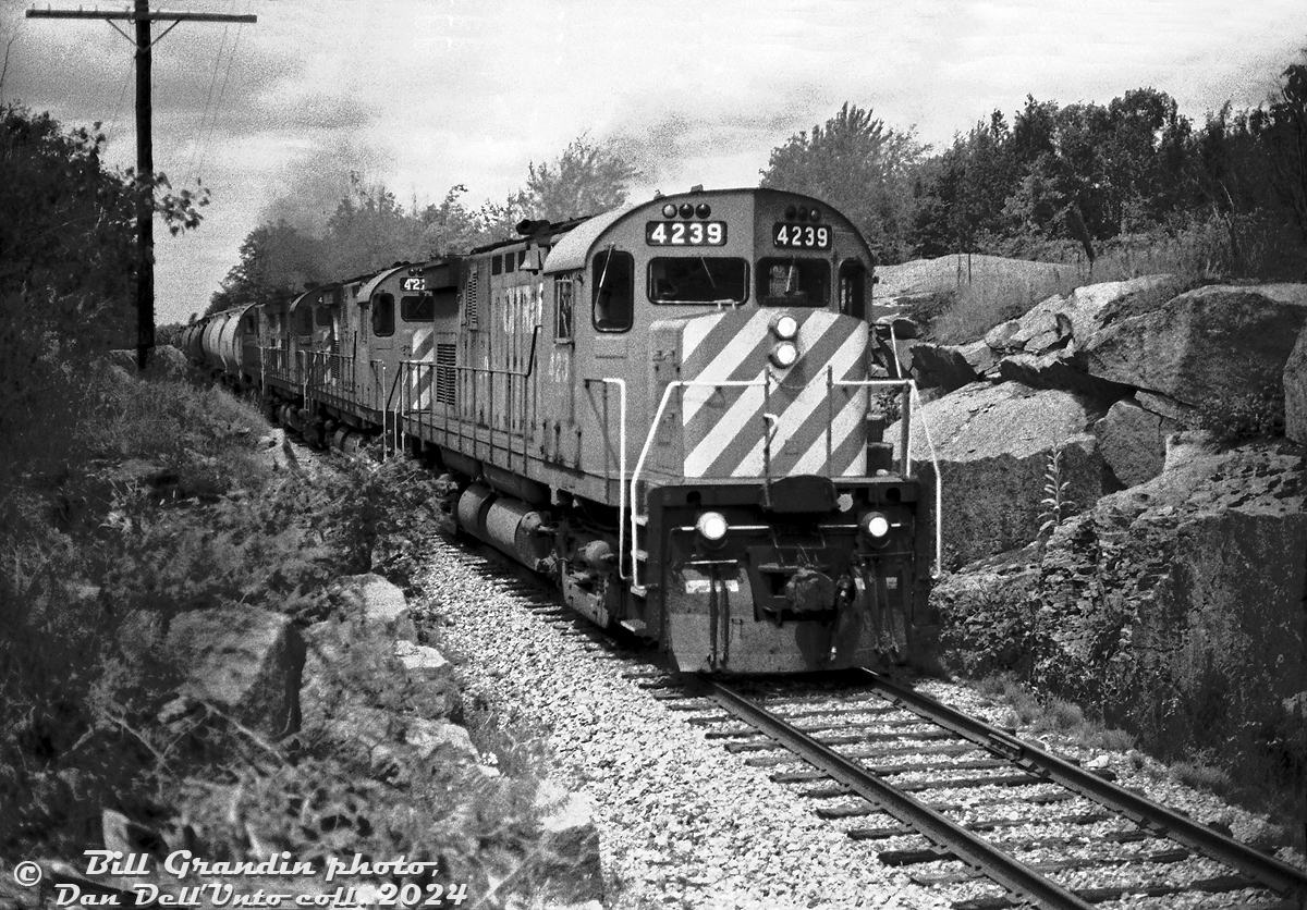 Four burly MLW C424's lead by CP 4239 head southbound on the Nephton Sub bound for Havelock, coming down from the Unimin mines at Nephton and Blue Mountain with covered hoppers full of nepheline syenite. The four units are coming through the rock cut at Mile 10 by County Road 44, one of the few crossings along the line.

This was about the spot where a scene in the movie "Martin's Day" (1985) was filmed, where the main characters hijacked a train for fun at the crossing, lead by a CP C424. 

Bill Grandin photo, Dan Dell'Unto collection negative.