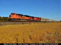 Always nice to have an 'ACe' up your sleeve, but even better to have one on the point. BNSF SD70ACe #9100 leads a CPKC Westbound through Puce, Ontario on this beautiful October 12th, 2024 day.  Fall colors of orange and red are coming through even without the BNSF/CP combo on the train.  :-)   This is by far my favorite time of year to get out and shoot trains....