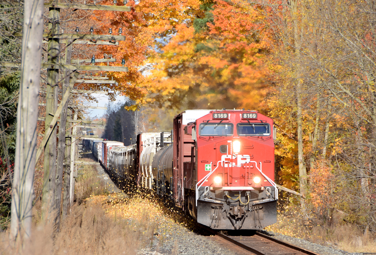 CPKC 231 kicking up the fall colours with 126 cars on the drawbar. CP 8169 is up front, with CP 9802 84 cars back from the head end