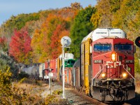 CP 8712 pulls an eastbound CPKC past Trenton as the autumn leaves have peaked. 