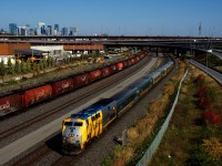 A rare sight these days, as VIA 67 passes a long string of cylindrical hoppers parked on Track 29 of the CN Montreal Sub.