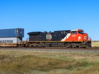 A closer look at CN 3331, which is one of two units featuring historical CN logos.  This logo was used in 1919 when CN was first established and was a modification of the Canadian Northern logo. 