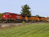 The fall colours are starting......well, on the train anyway. I think this also might be a different season Time Machine with http://www.railpictures.ca/?attachment_id=917. A lot of trees have come and gone. Nothing stays the same. 