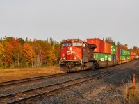 Fall colours in every way imaginable just after sunrise.