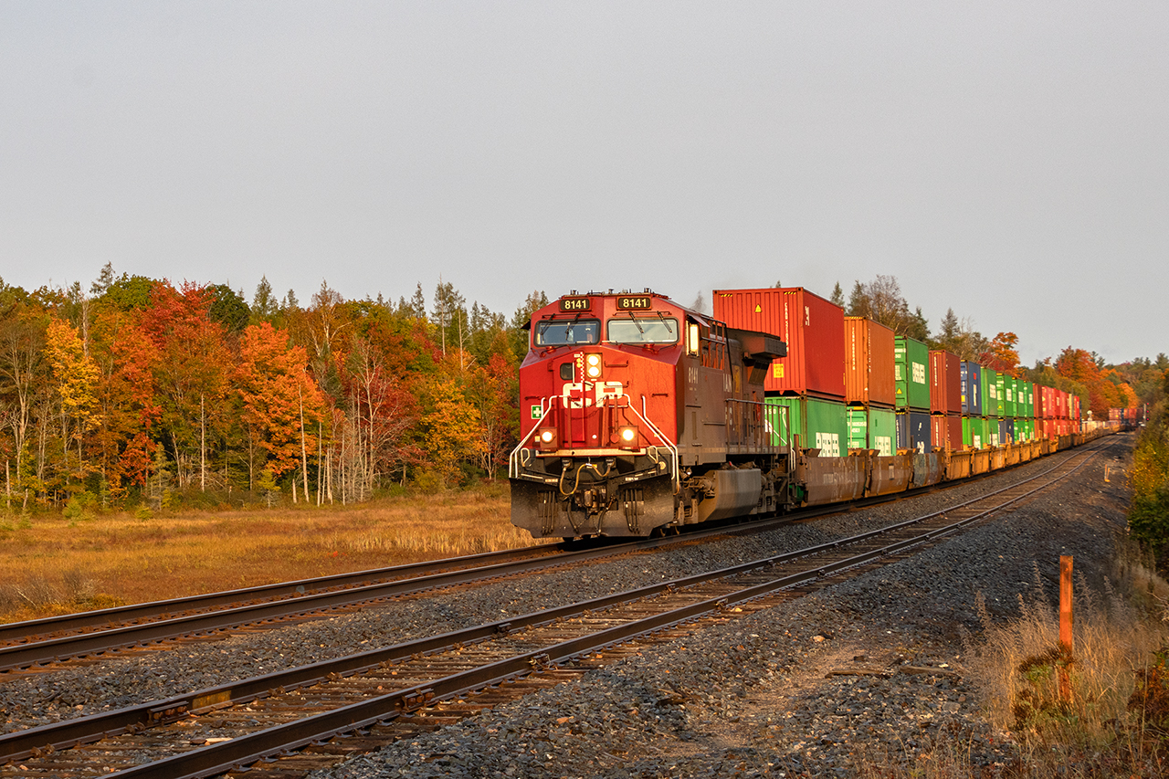 Fall colours in every way imaginable just after sunrise.