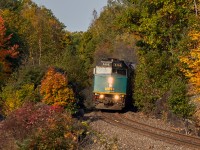 All the colours of fall.....mixed with a classic.