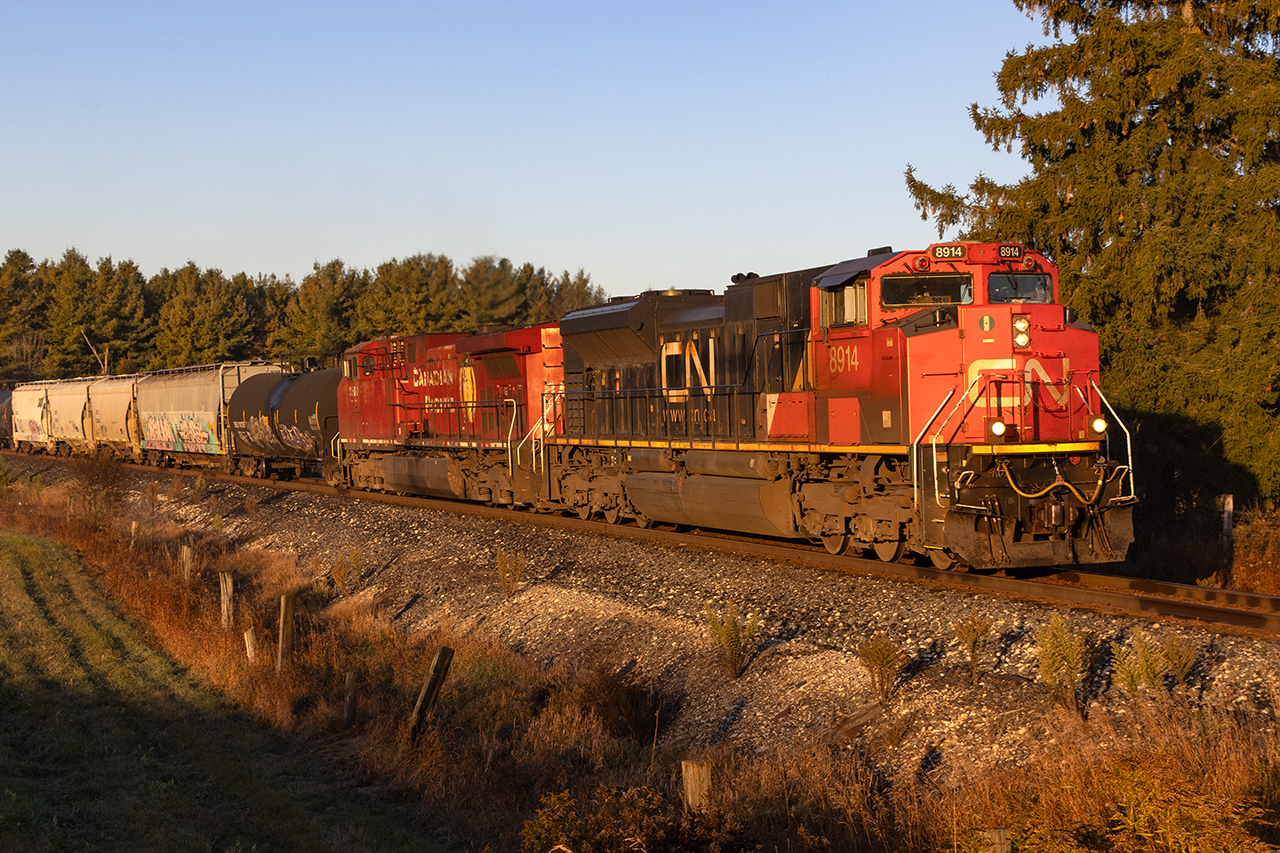 It's a little game we play on the Galt Sub. Toronto-Detroit train 135 usually has containers that go to Detroit, and also often has interesting trailing units. In Detroit, the power is wyed so the same power returns the next day. But if there is no container traffic for the US, it may terminate in Windsor. Or it may go to the US to lift containers there. There's no wye in Windsor, and in this case, no trip to the US. This provides a fairly rare occurrence of CN leading on CP shortly after sunrise.