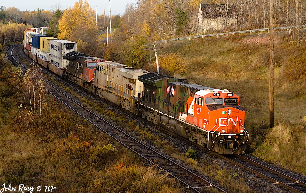 October 24th @ 08:35, CN Z120 by Springhill Jct. 580 axles,
CN 3015 (Veterans), CN 2786, CN 3128 + DPU CN 3812.

Still not seen by me, the second "Veterans" unit CN 3233.