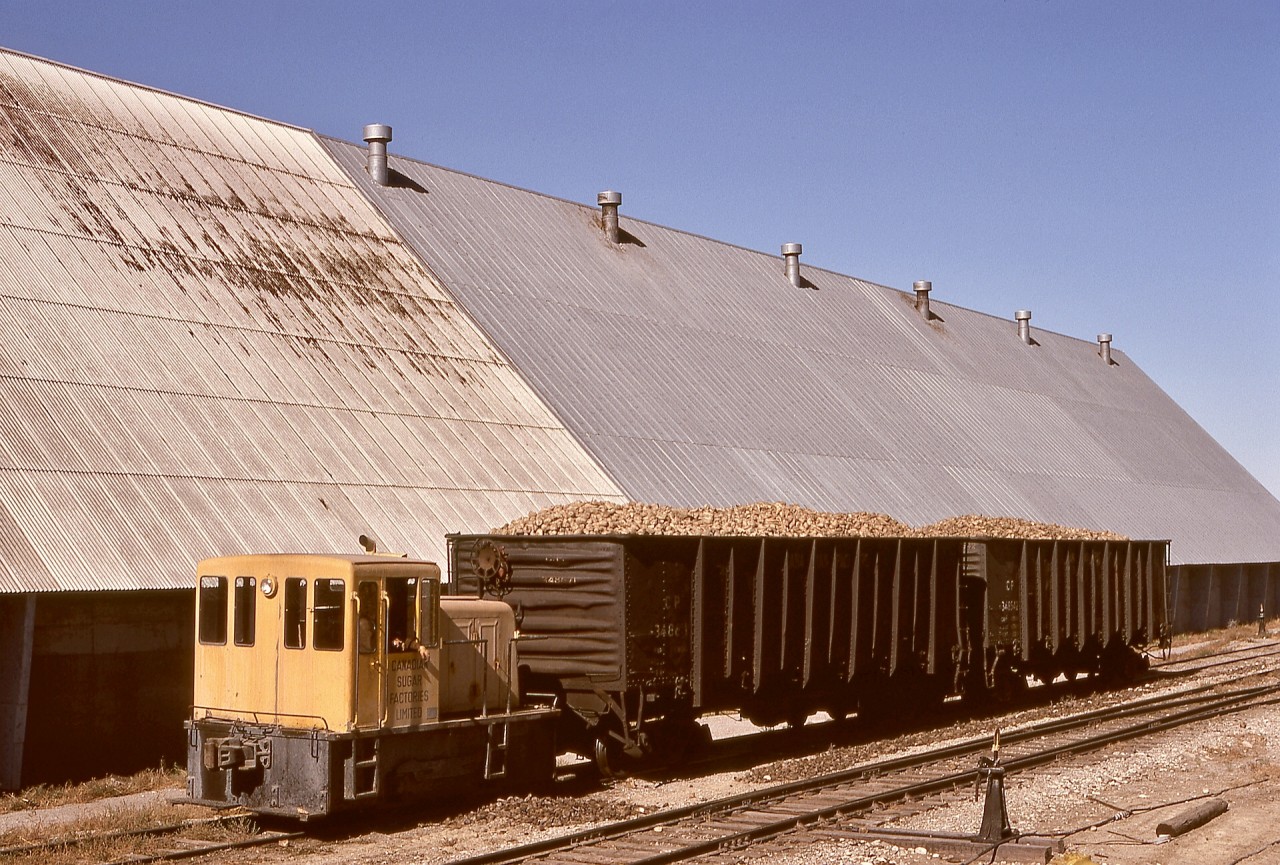 In addition to two GE 25-tonners at their Taber factory, Canadian Sugar Factories had one at Picture Butte, GE s/n 32636 of 1956-05, shown busy switching carloads of recently harvested sugar beets just received from CP on Thursday 1974-10-03.

This unit was later numbered 1501 and worked in several other Alberta industries, and is now in the CP/E&N roundhouse in Victoria, BC, in private ownership.

Map pin is an approximation since most traces of that operation have succumbed to history in the intervening 51 years.