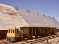 In addition to two GE 25-tonners at their Taber factory, Canadian Sugar Factories had one at Picture Butte, GE s/n 32636 of 1956-05, shown busy switching carloads of recently harvested sugar beets just received from CP on Thursday 1974-10-03.

<p>This unit was later numbered 1501 and worked in several other Alberta industries, and is now in the CP/E&N roundhouse in Victoria, BC, in private ownership.

<p>Map pin is an approximation since most traces of that operation have succumbed to history in the intervening 51 years.