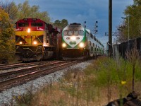 134's conductor had gone for a train-long walk to inspect an open door 10 cars from the tail that was called in west of Meadowvale in the middle of the morning Milton Line rush. The engineer killed time being friendly with railfans, even doing the courtesy of flipping headlight switches whenever they saw a lens raise at the motive power. One of the 134 lead locomotive's EMD 710 brothers in the passenger sector powers the second last Milton Line service of the morning, overtaking them just past Streetsville Junction where 134 had initially stopped, but then pulled up to the next crossing to make the conductor's walk shorter without disturbing commuting traffic to the nearby Dolphin Senior Public School.