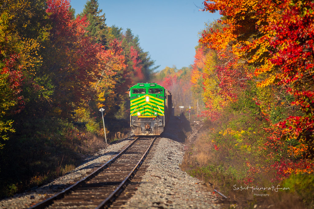 Fall colors are peaked in this area of southern New Brunswick, as NBSR train 120 approaches Tracy, New Brunswick on a cool morning.