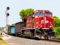 CP 8041 leads an eastbound through the quiet farm fields and forest of southeastern Ontario.