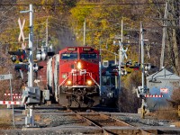 Most of the leaves have fallen except for a small patch of trees which are still hanging on as CP 8102 leads an eastbound through downtown Belleville.