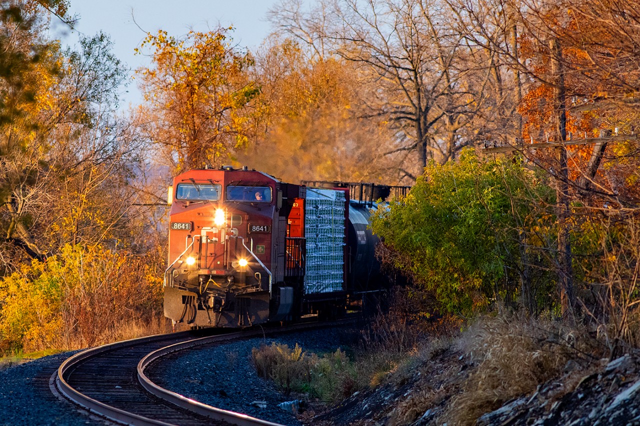 CP 8641 rounds the corner into a narrow slice of sunshine as it approaches downtown Belleville not long after sunrise.